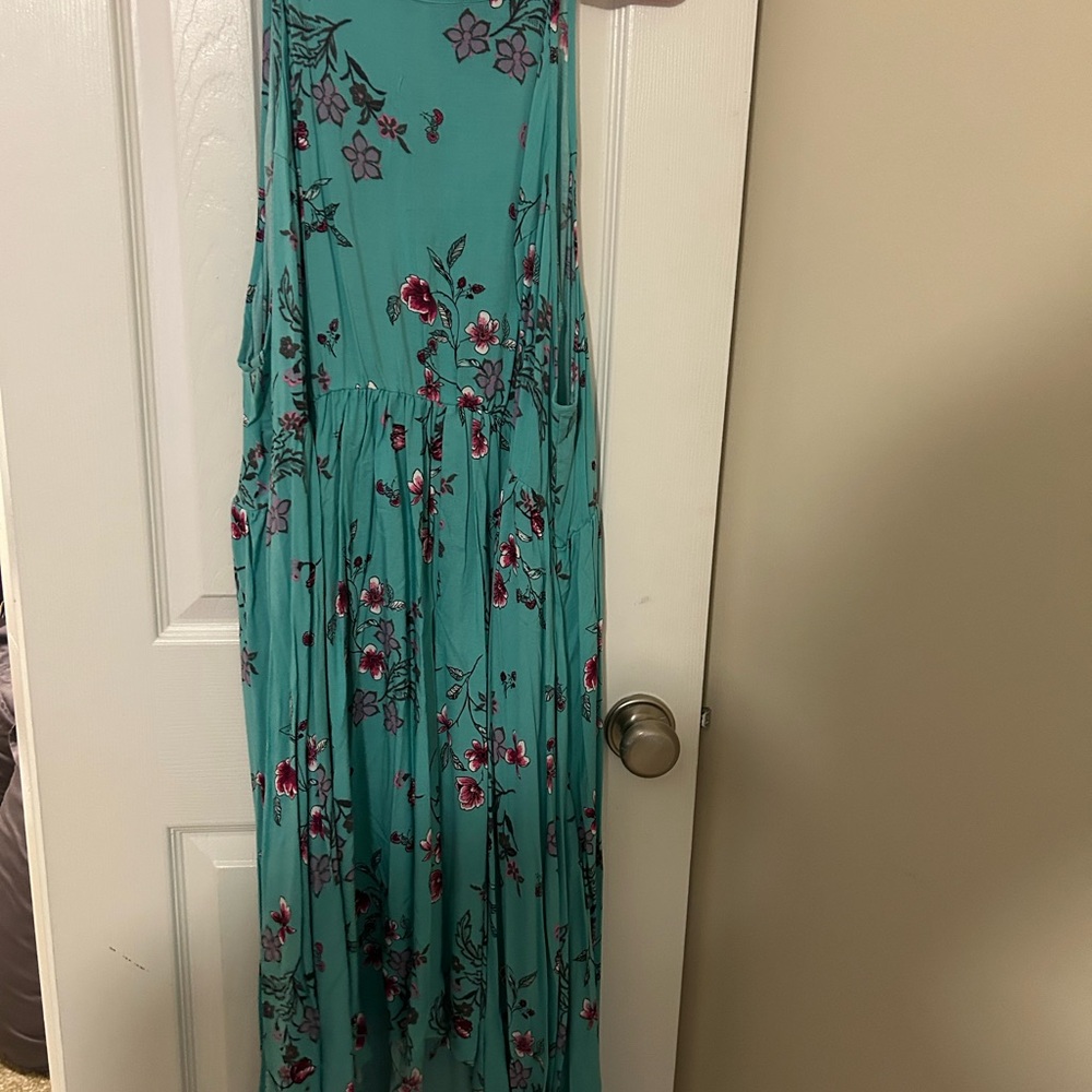 Torrid Teal and pink Floral skater Dress